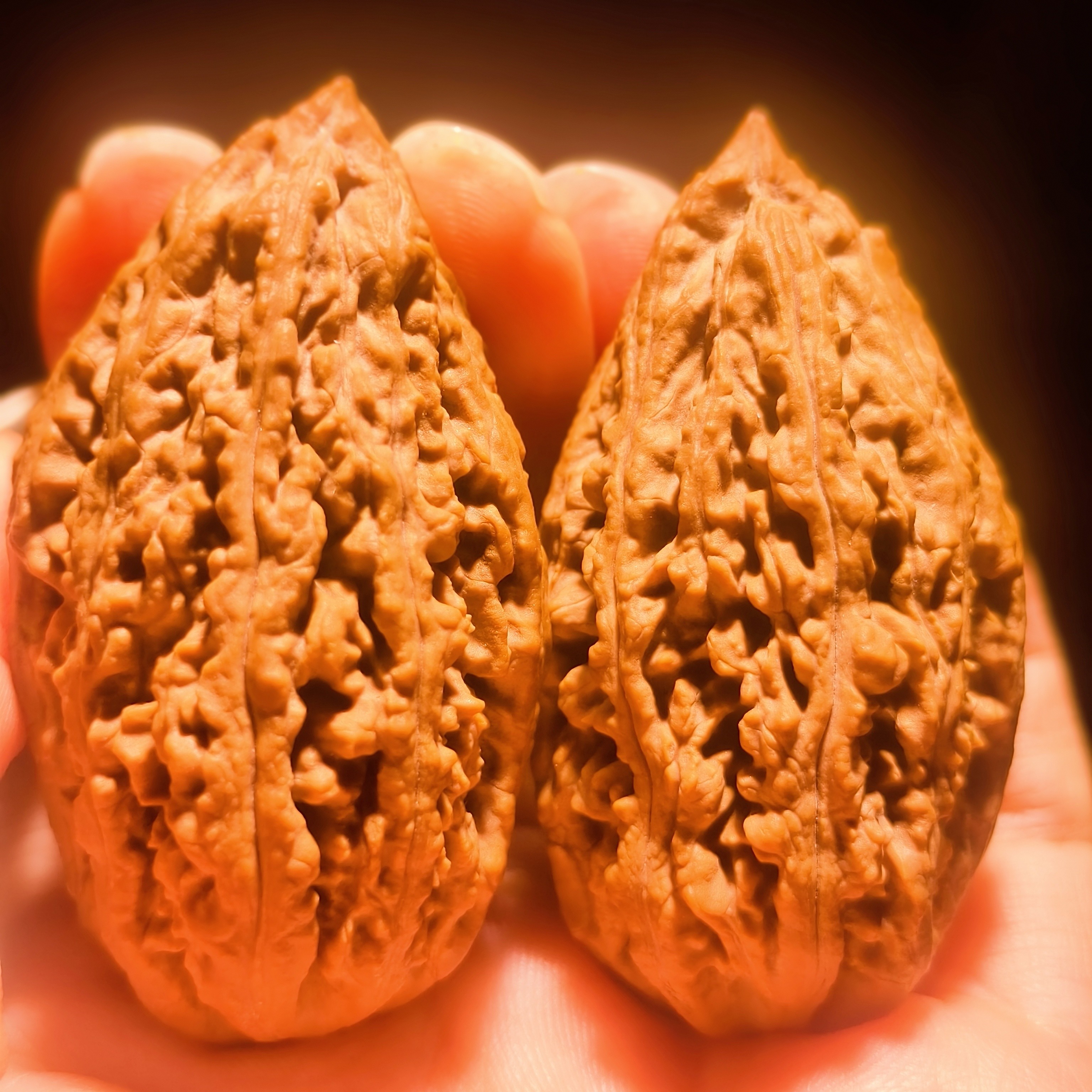 蚂蚁棍霸王枪红樱枪东北野生秋子文玩核桃自然生长纹路手把件