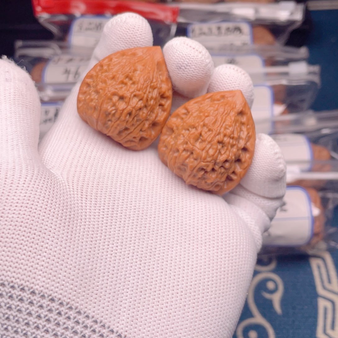 34蛇王！！！！！！！！！