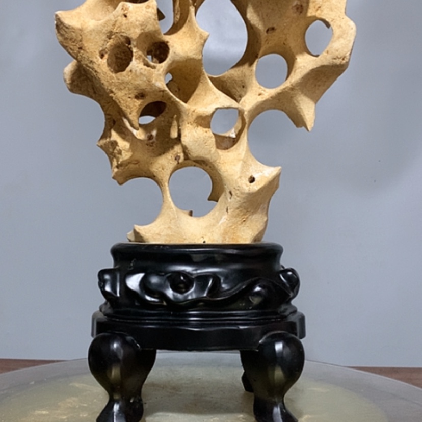 【闪购商品】石*庭院花卉附石