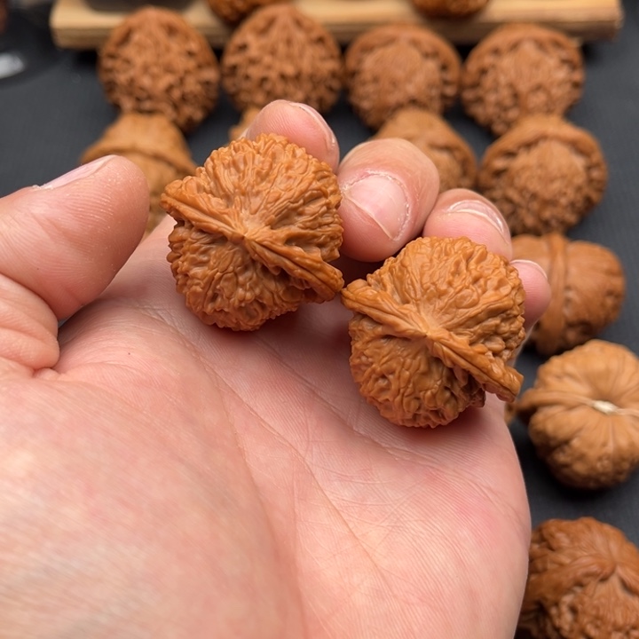 文玩核桃把件角白36