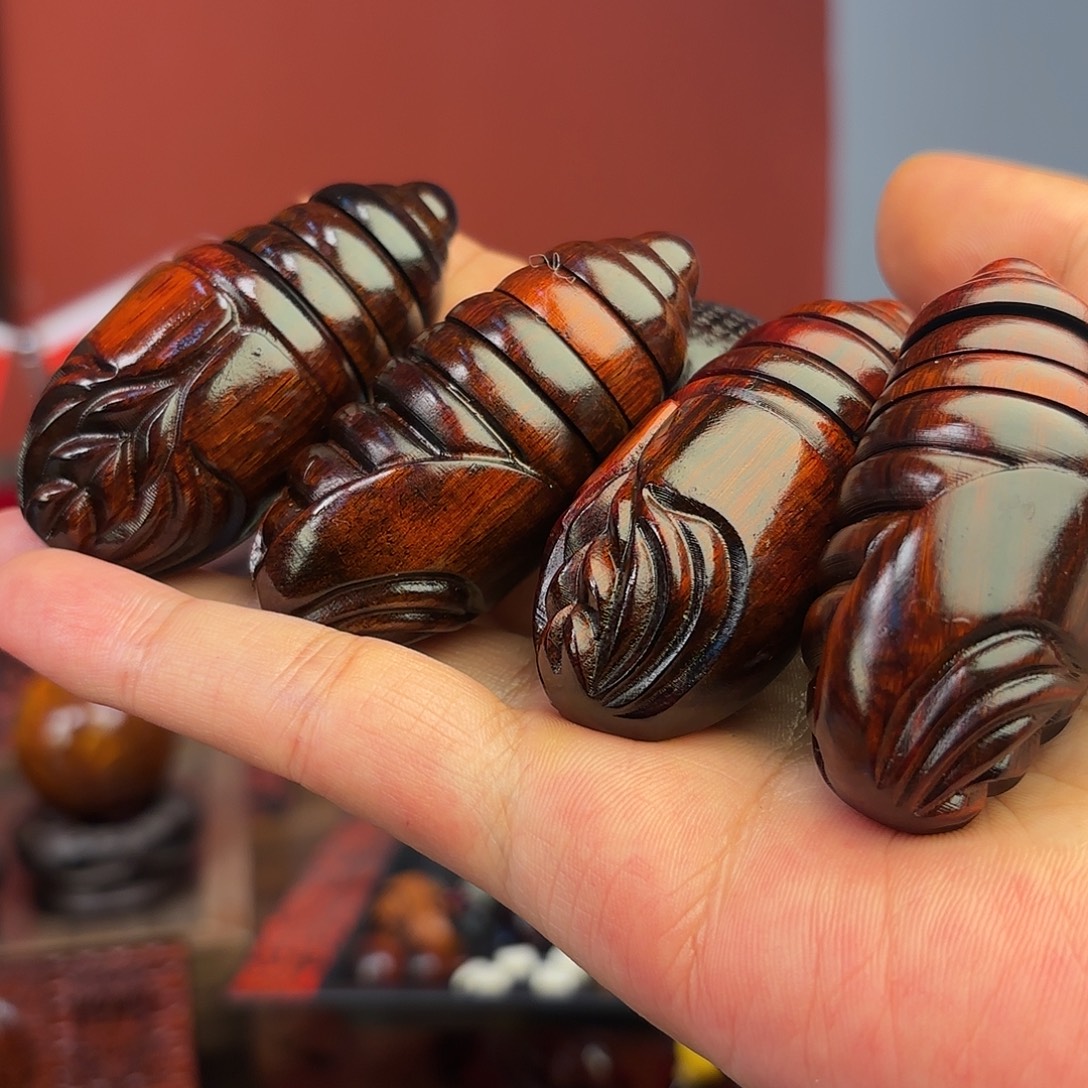 檀香紫檀（小叶紫檀）蛹