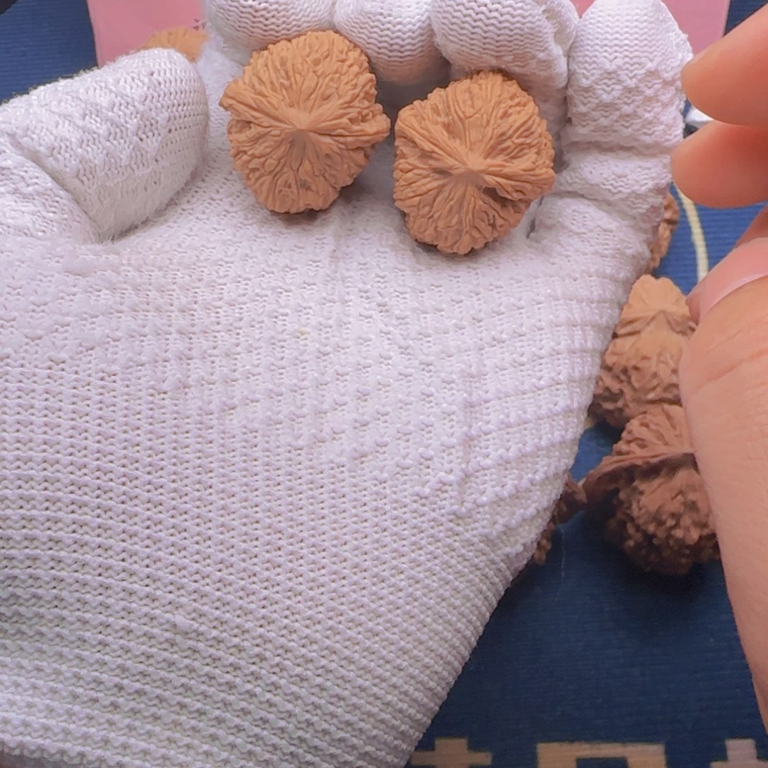 宠粉福利款南疆石