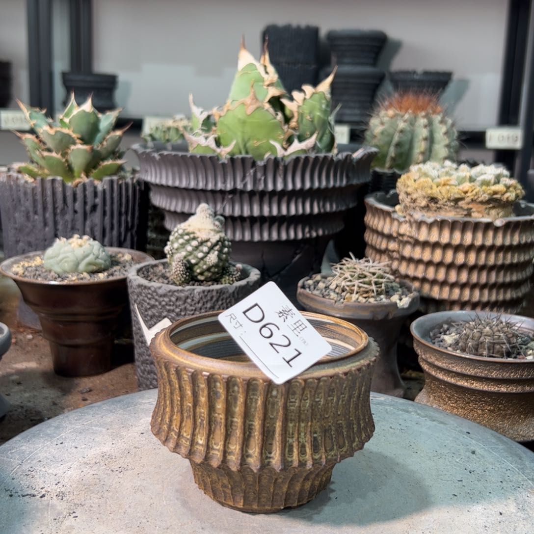 景德镇手工素里内口8.7高7.5