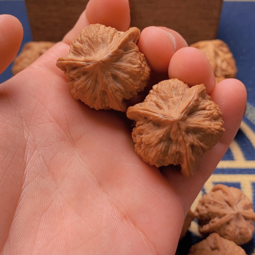 文玩核桃吊坠胖*鱼文玩核桃公子帽正奔