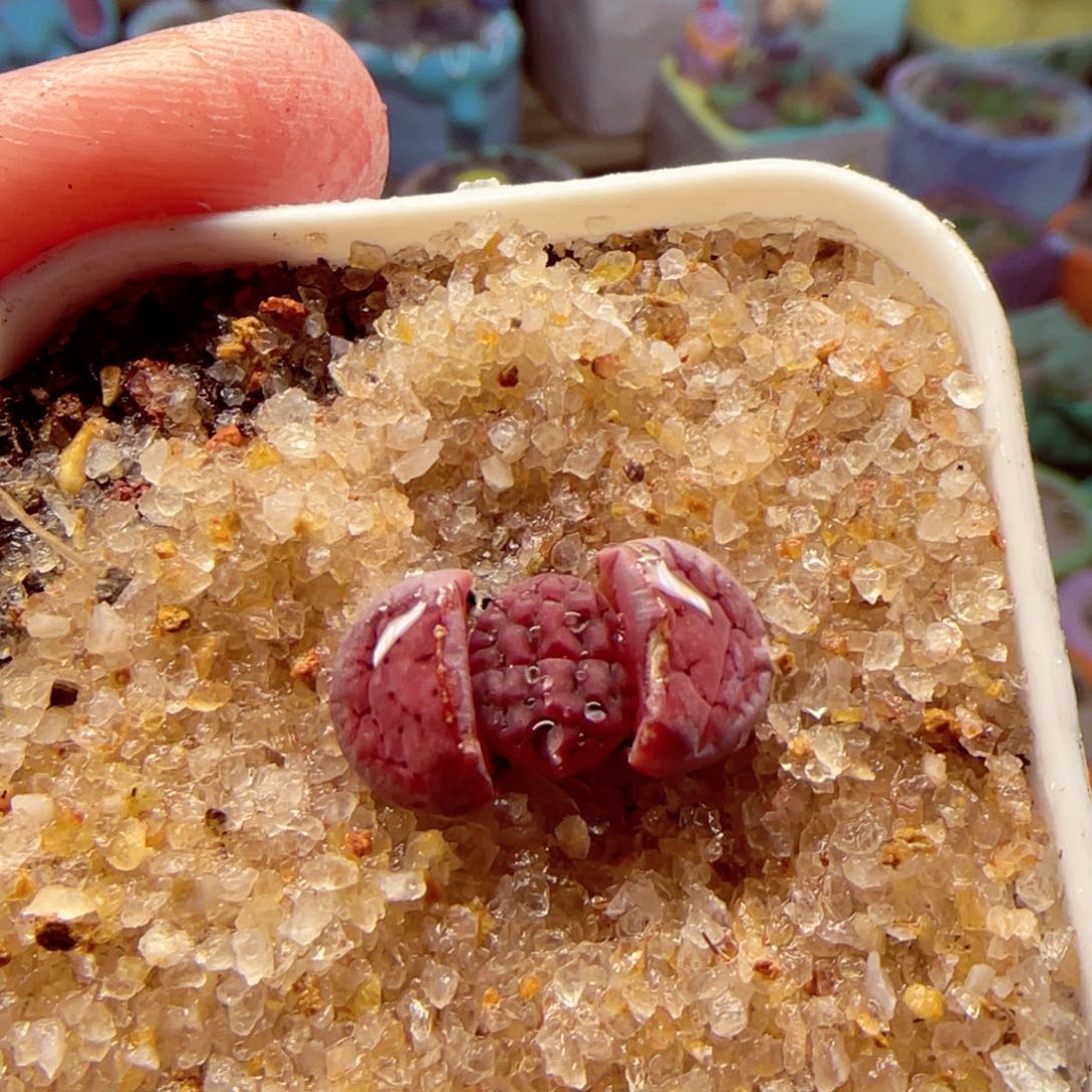 180，0000000000000000000000