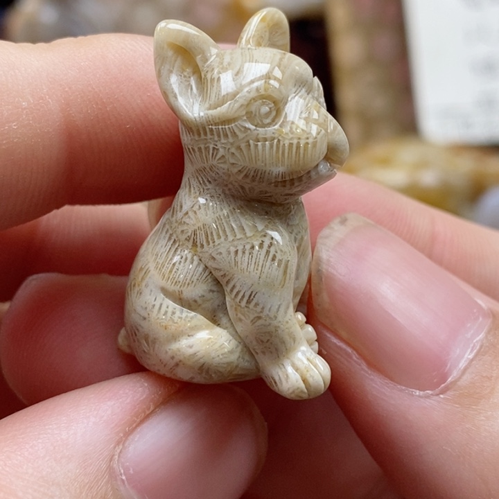 硅化珊瑚（珊瑚玉）未镶嵌颈饰