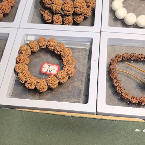 树***沙手串金刚菩提原生态的大金刚手串，22左右尺寸，原皮原色