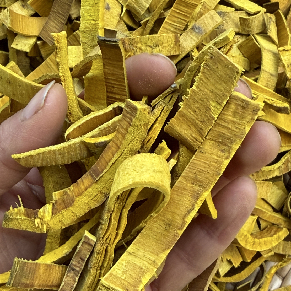 黄柏   川黄柏 四川野生黄柏切丝刮皮 假一赔十