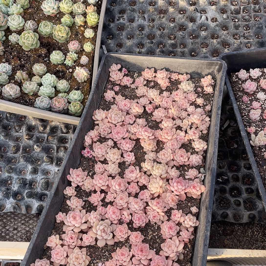 瞬***间176。 定。           