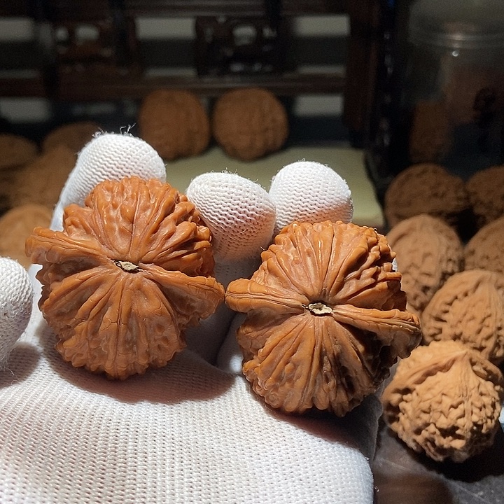 安***文玩核桃吊坠蛟龙全品