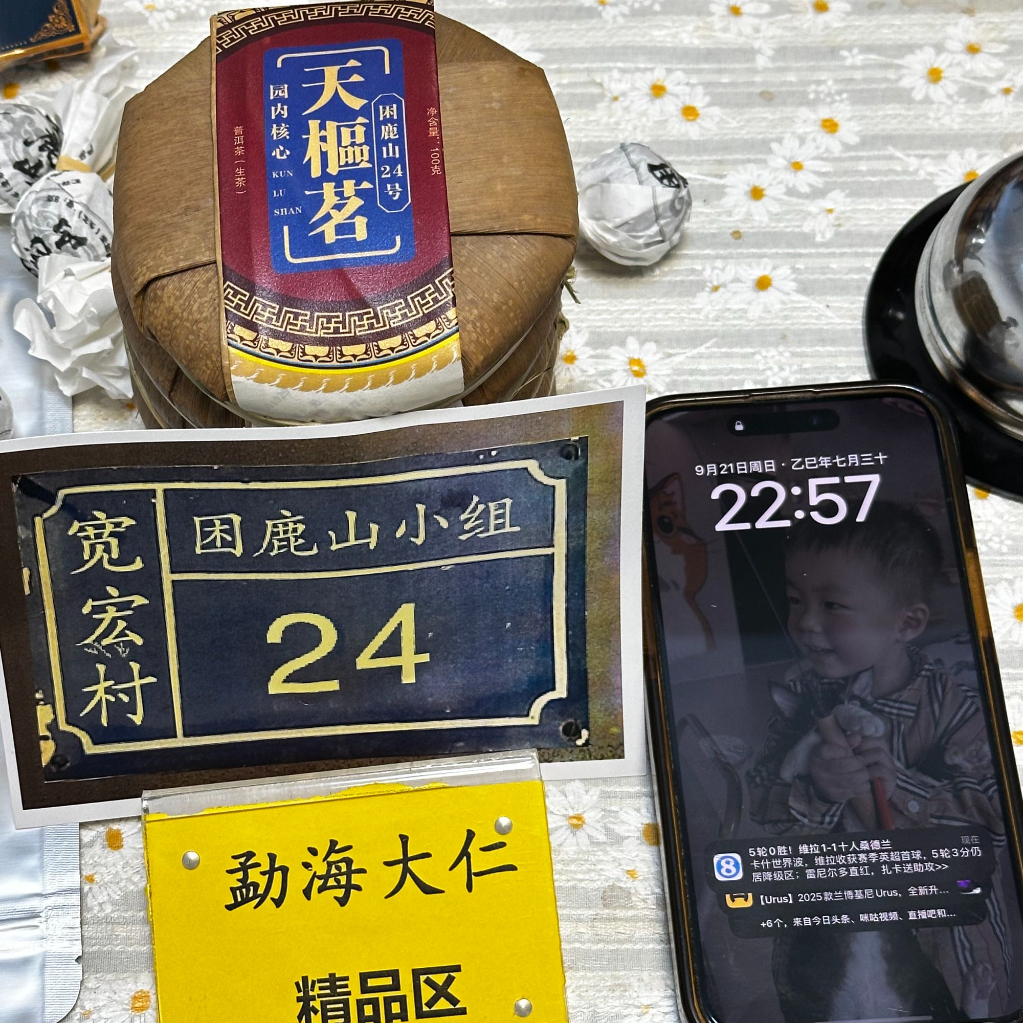 9-25【精品区A17】“普洱茶”2025年园内核心困鹿山古树春生茶小饼