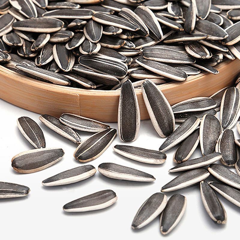 内蒙古新货原味大颗粒熟葵瓜子新鲜现炒葵花籽零食zx