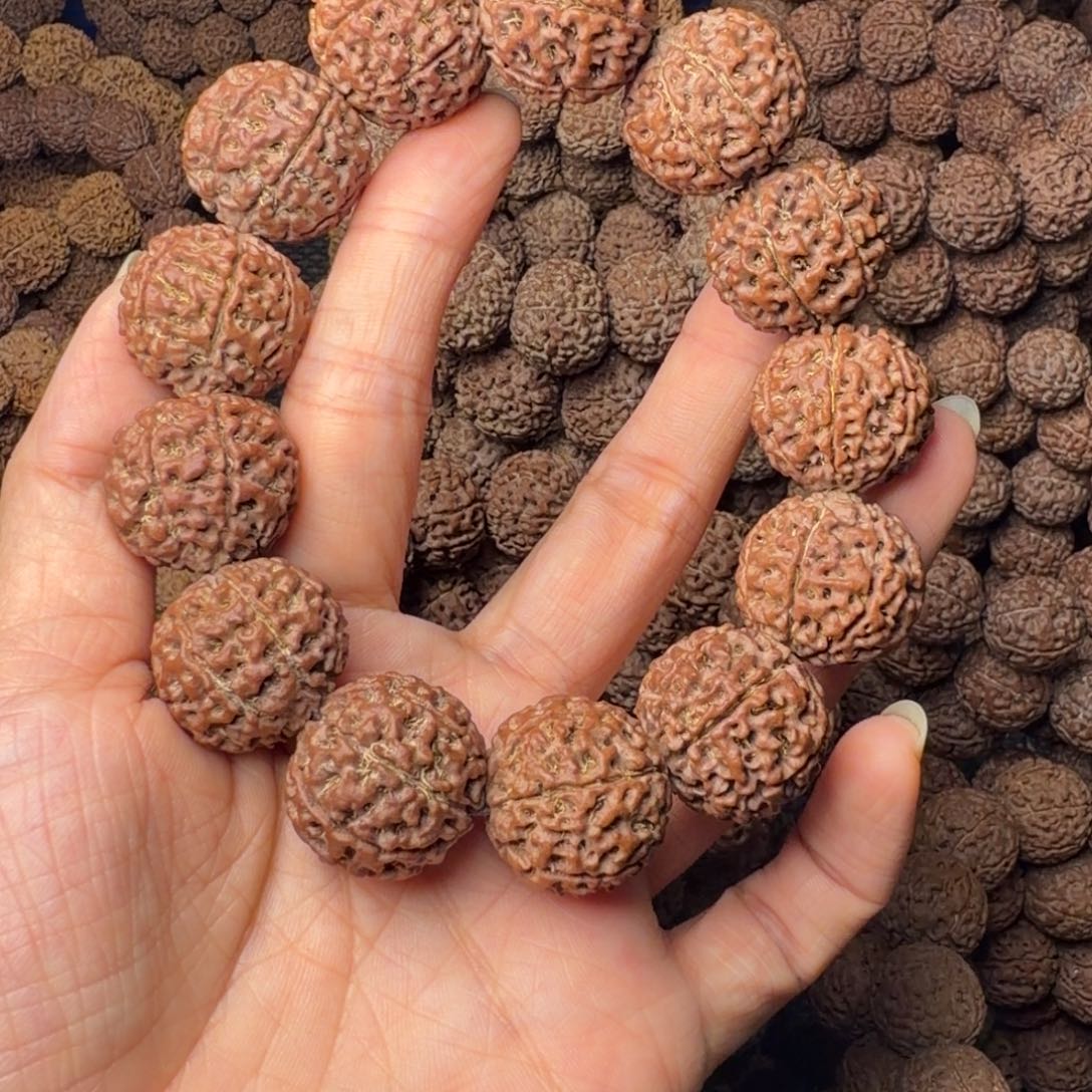 手串金刚菩提7瓣卡22尺，19号