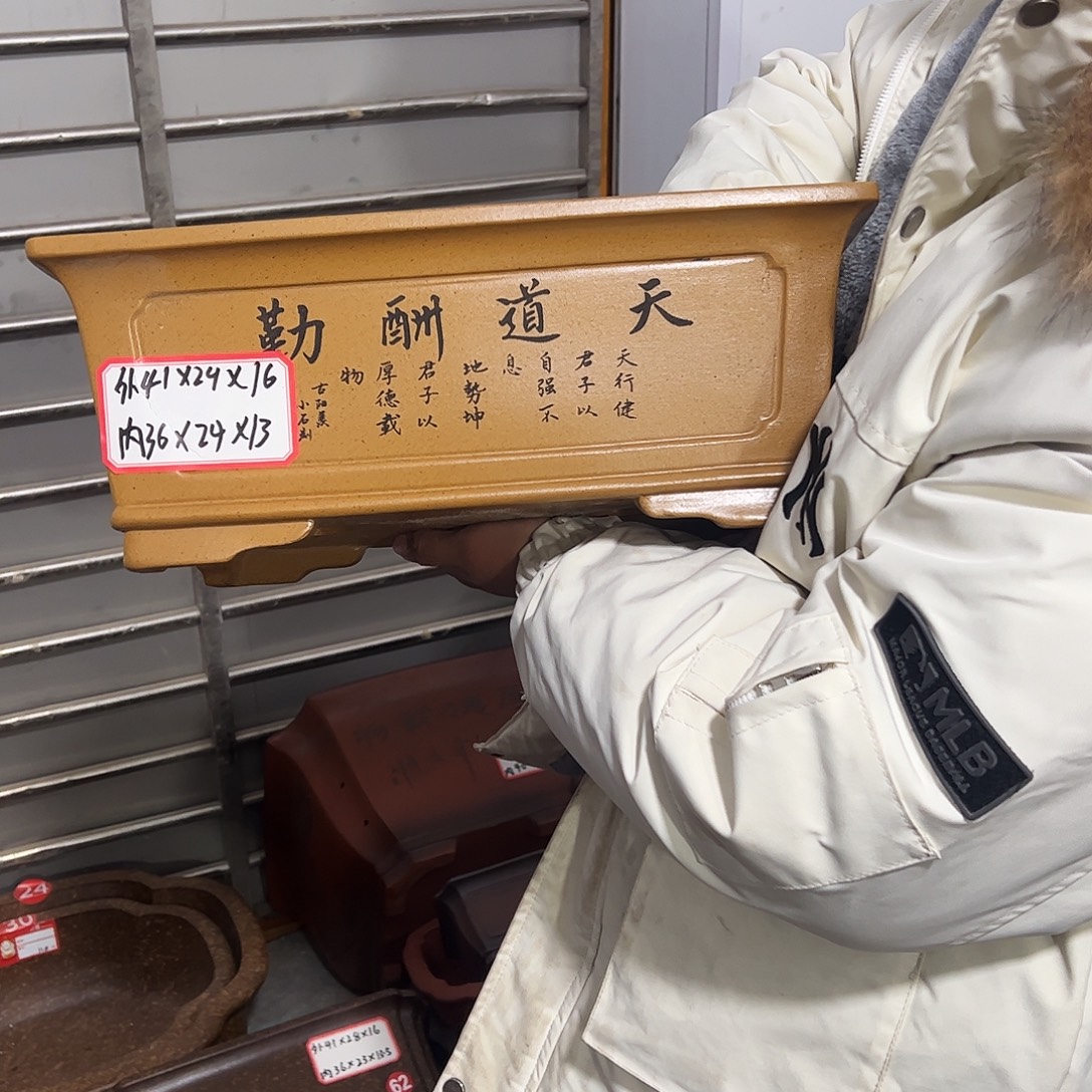 紫砂其他紫砂花盆