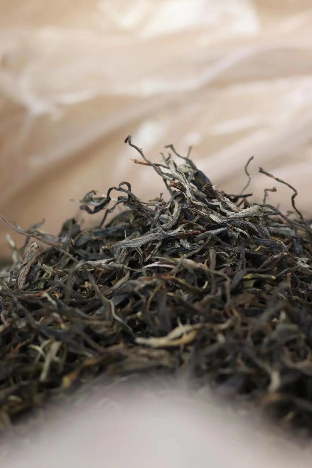 【忙糯古树】2025普洱生茶散茶100g