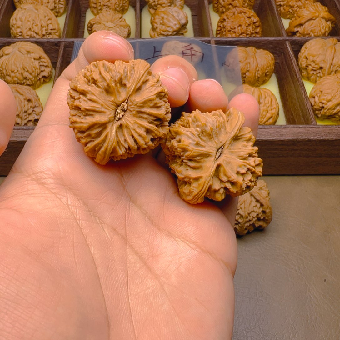 文玩核桃把件三角白