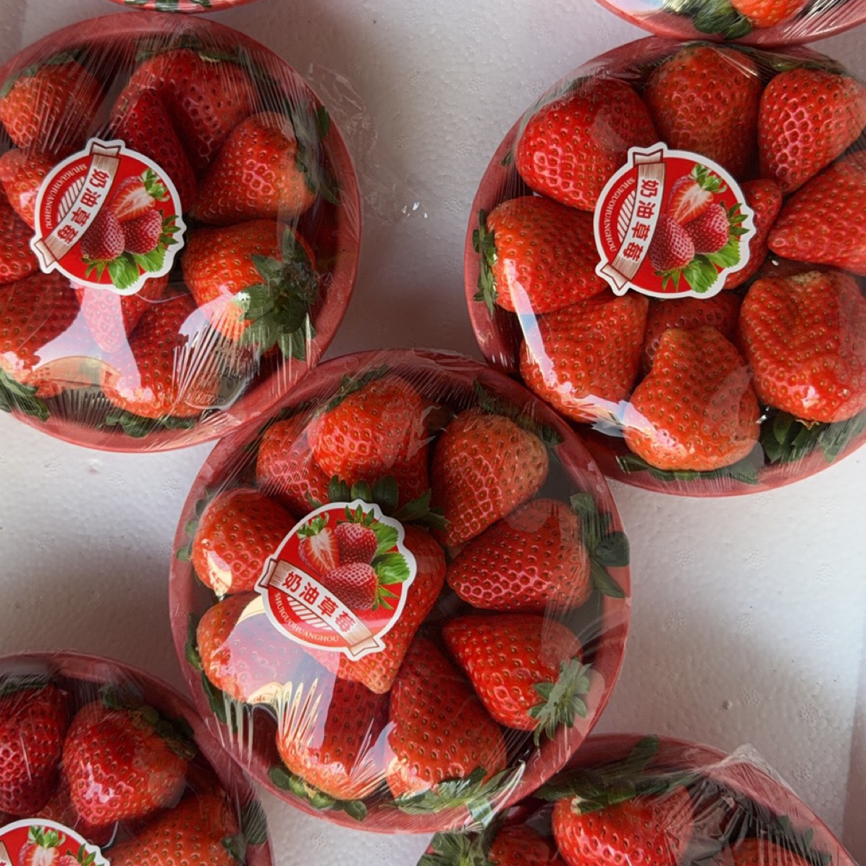 南通 红颜奶油草莓 一盆 480g