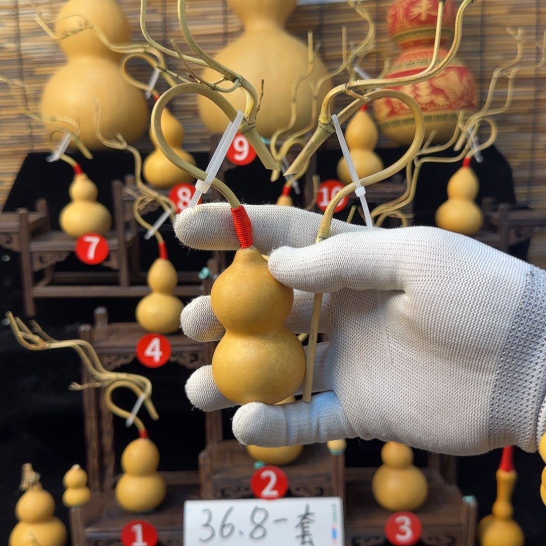 用***6啊啊啊啊啊啊啊啊啊啊啊啊啊啊