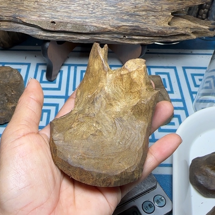 木质母树绿奇陆河包头360克