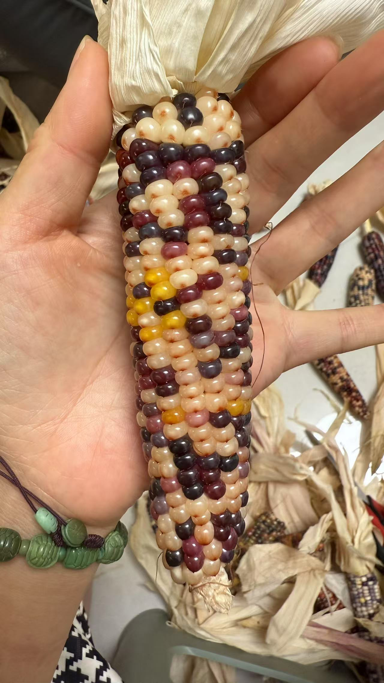 七彩琉璃小玉米 明料 以直播间实物为准