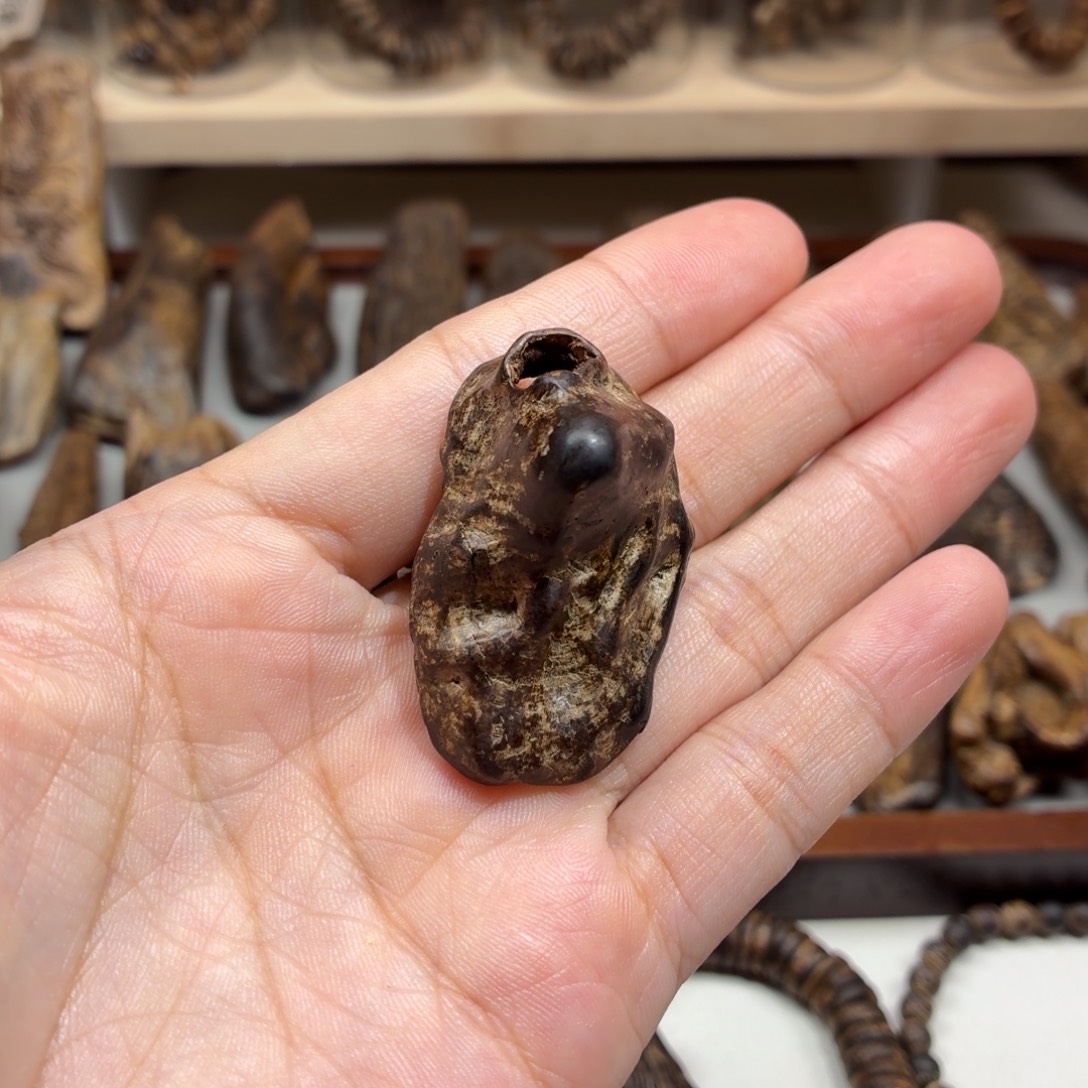 安***仔沉香沉香碎屑文莱