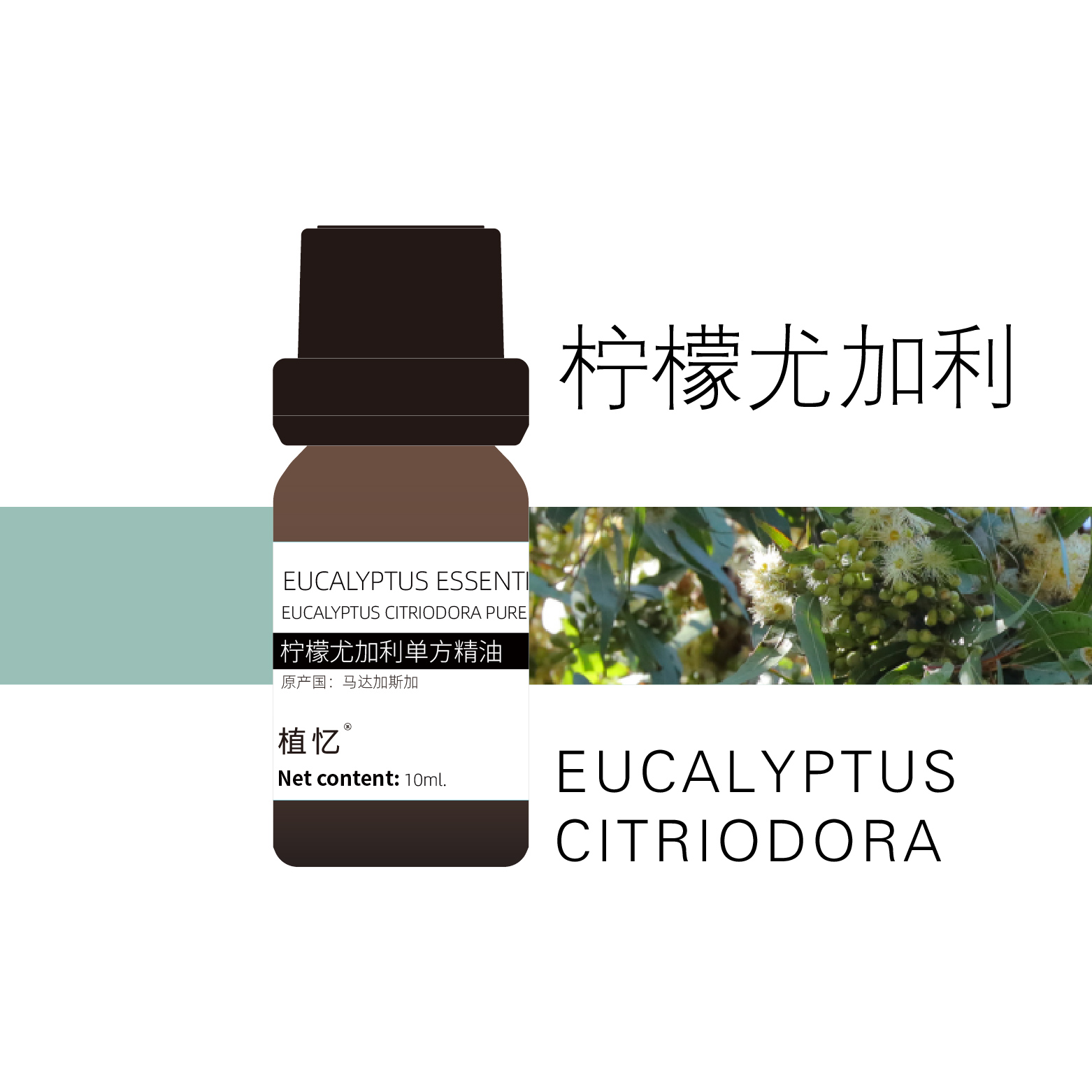 植忆柠檬尤加利精油 马达加斯加 柠檬桉叶精油 植物单方香薰精油