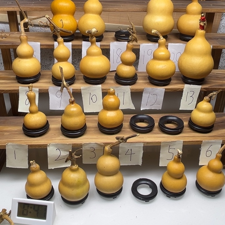 一***李啦啦啦啦啦啦啦啦啦