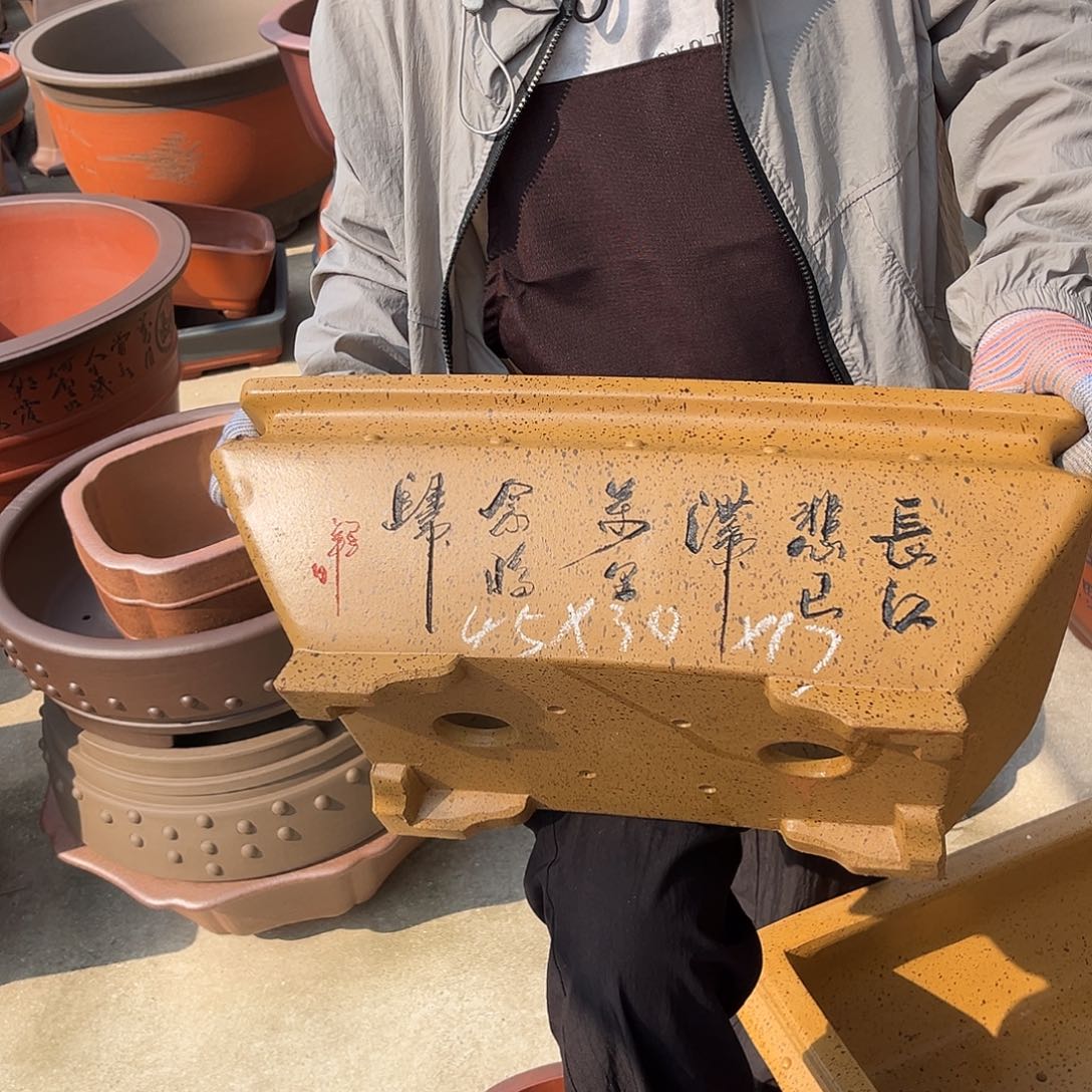 紫砂花盆盆景艺术