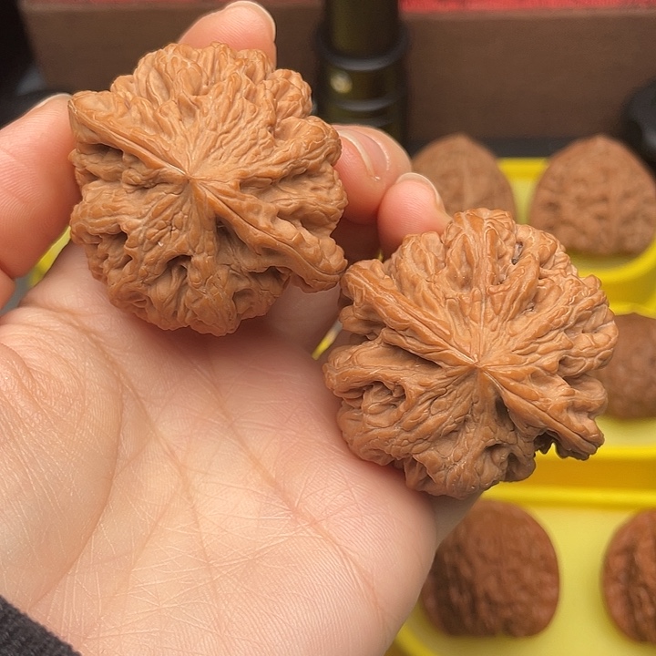 *****粗筋47全品。       