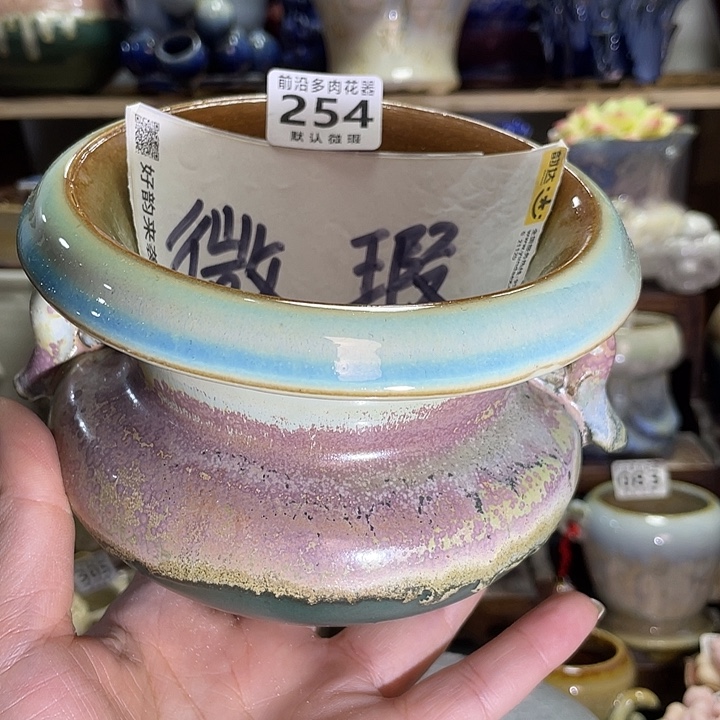 狼盆内口径10高度10