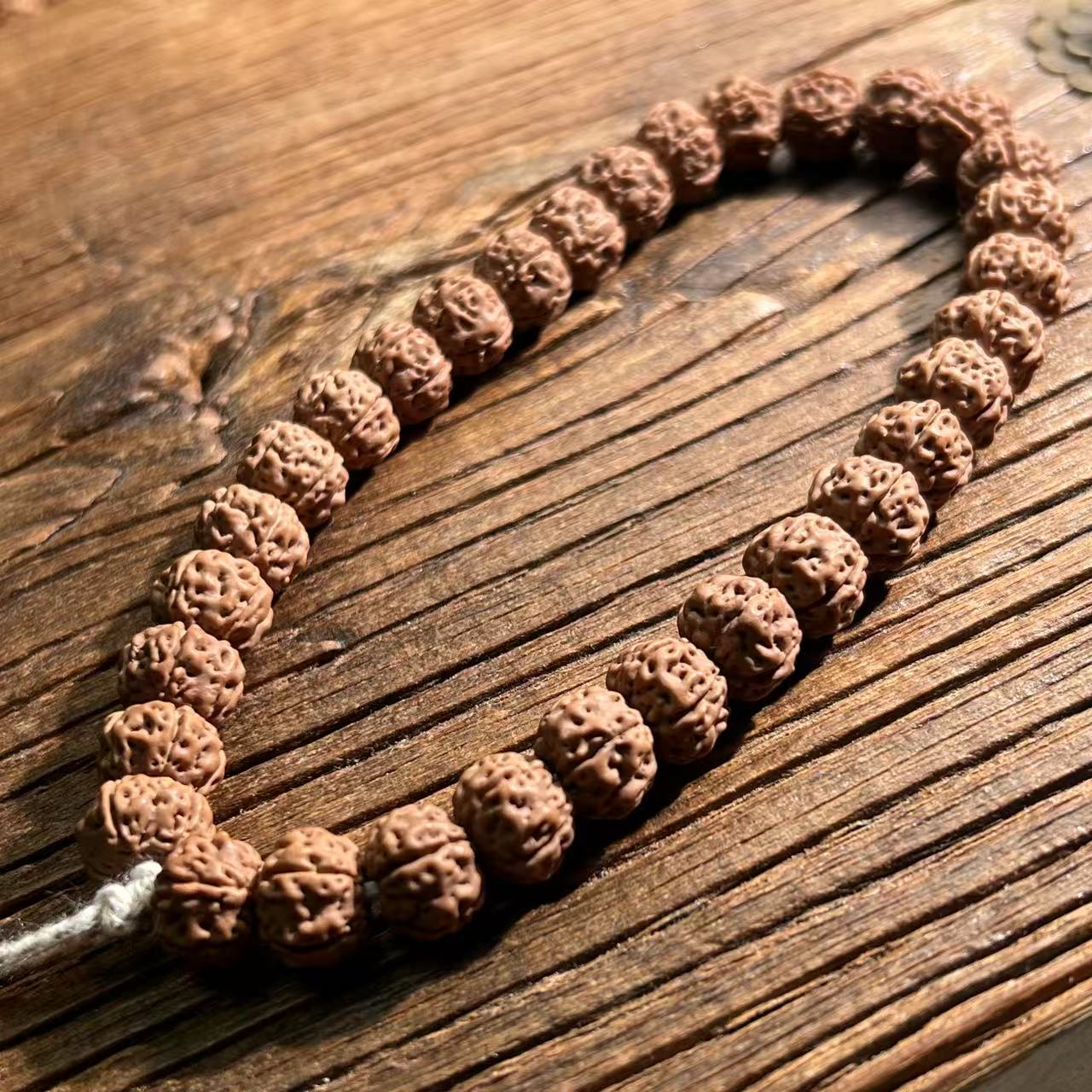 【树魔】原生态老树铁籽小金刚高端品小金刚