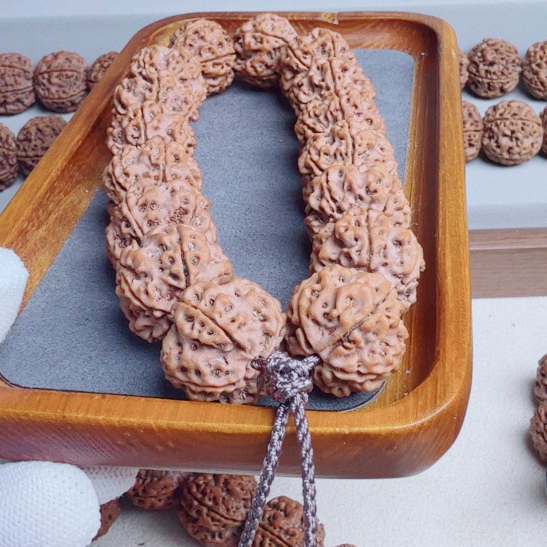 傻***头吊坠金刚菩提原生态古龙五星梅花双龙订制21 +姜黄皮