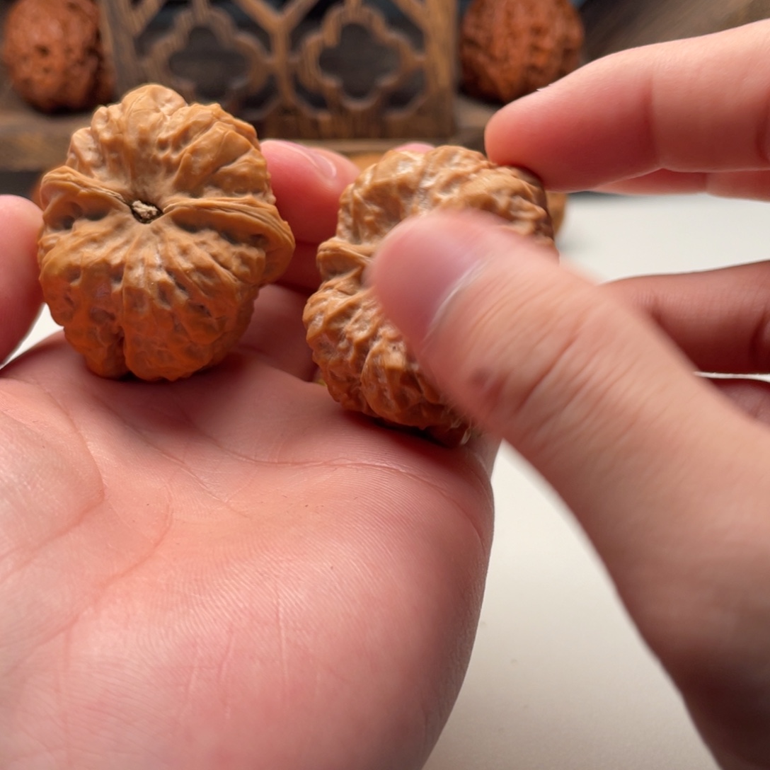 纽***晏大叶紫檀（黑酸枝木类）蛤蟆头文玩C11