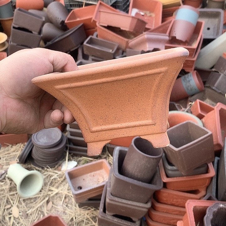 紫砂哈哈真的是太给力太