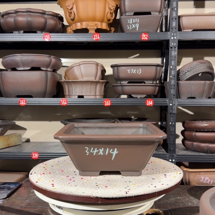 花盆紫砂呜呜我的小可爱