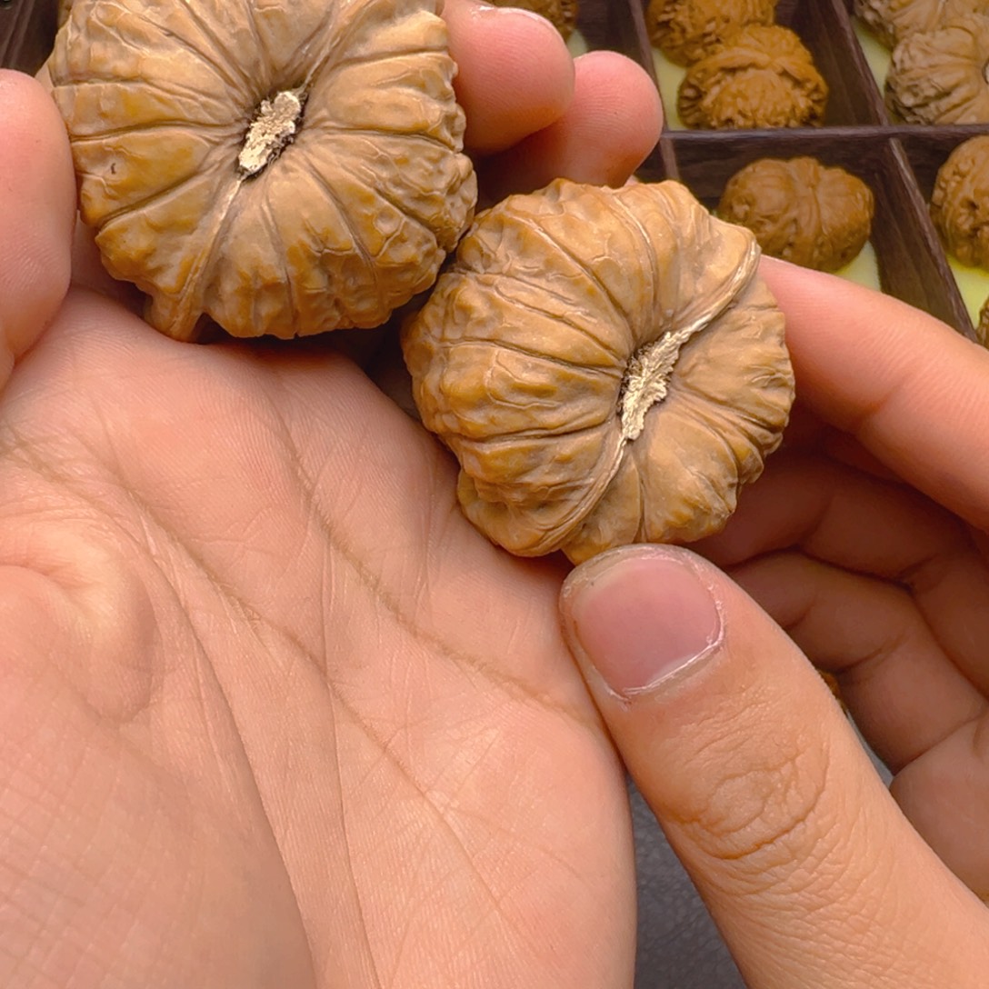 把件文玩核桃45尺南瓜墩