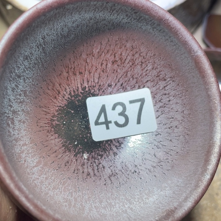 兔差你还以为你是最好看