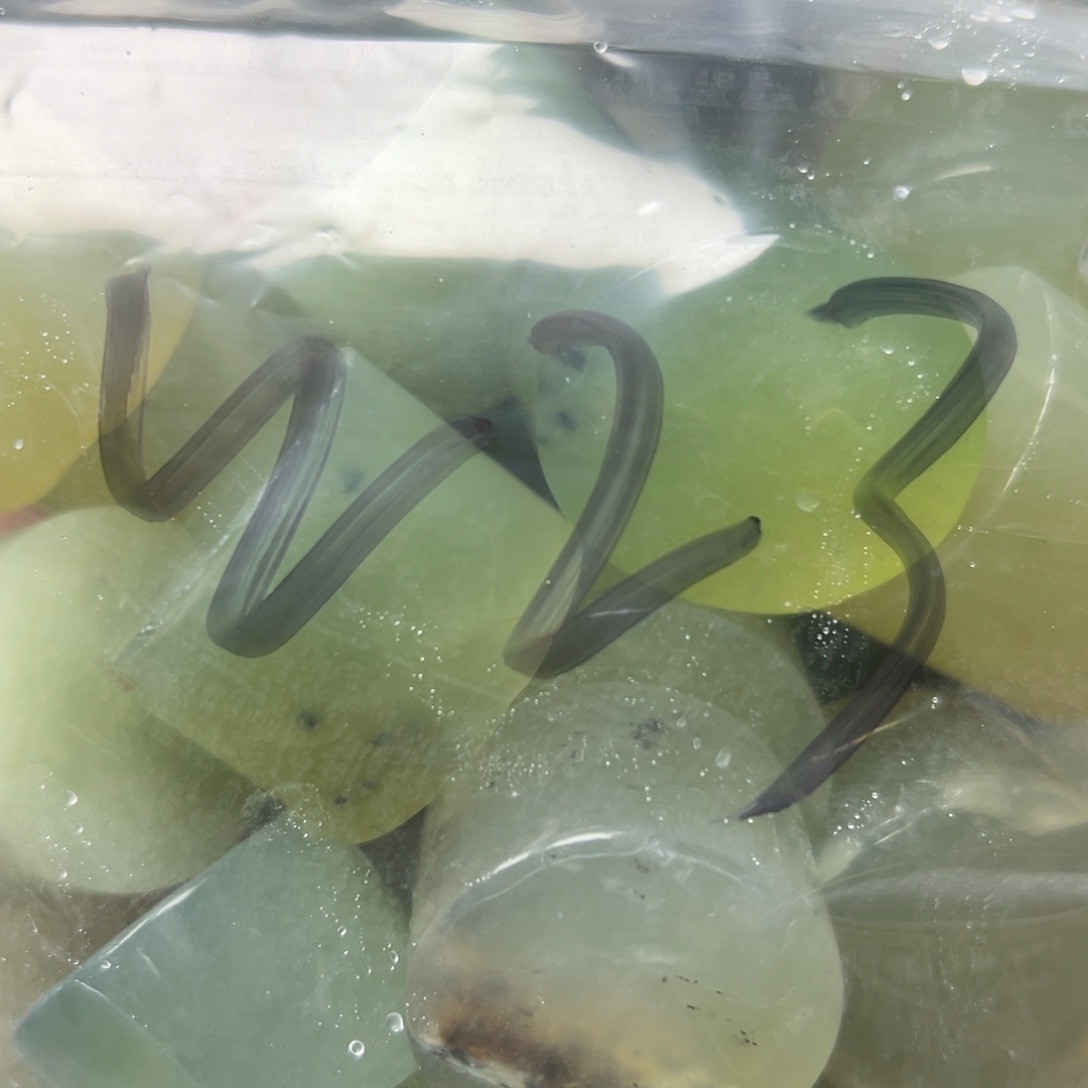 用***4蛇纹石玉未镶嵌岫玉手镯心，平安无事牌