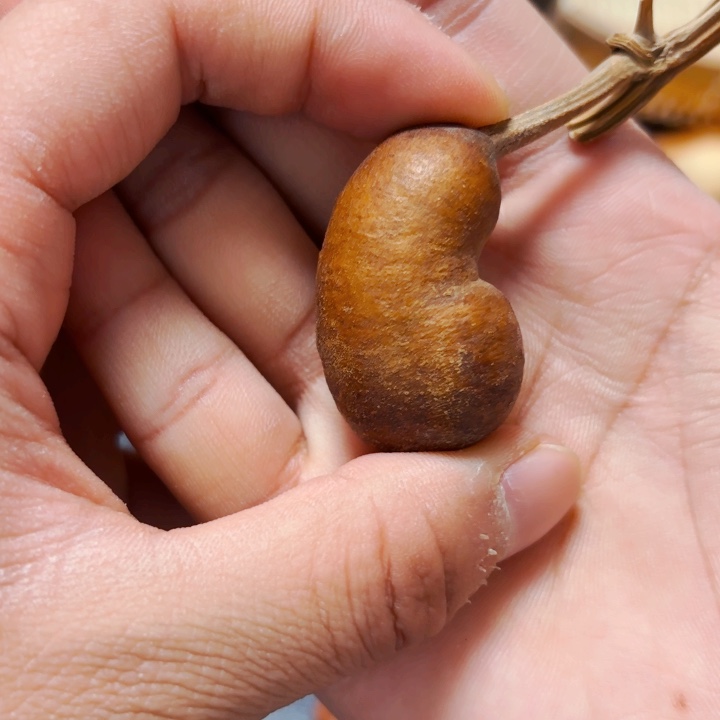 一***.88878887888888888888