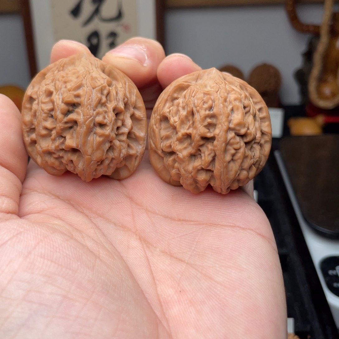 文玩核桃把件野生滚地龙40/42/38