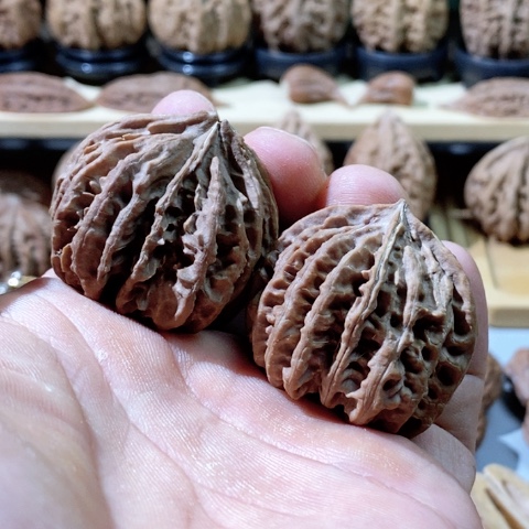 文玩核桃把件韩*.球连