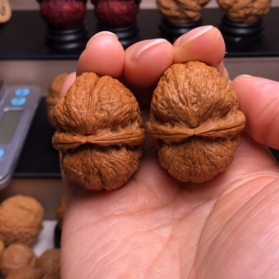 文玩核桃把件鸿运元宝7