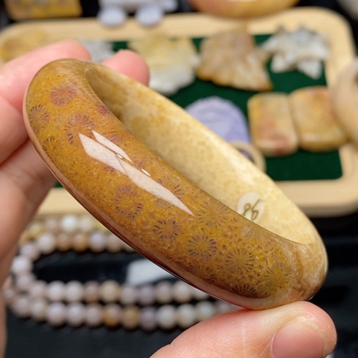 硅化珊瑚（珊瑚玉）手镯未镶嵌55