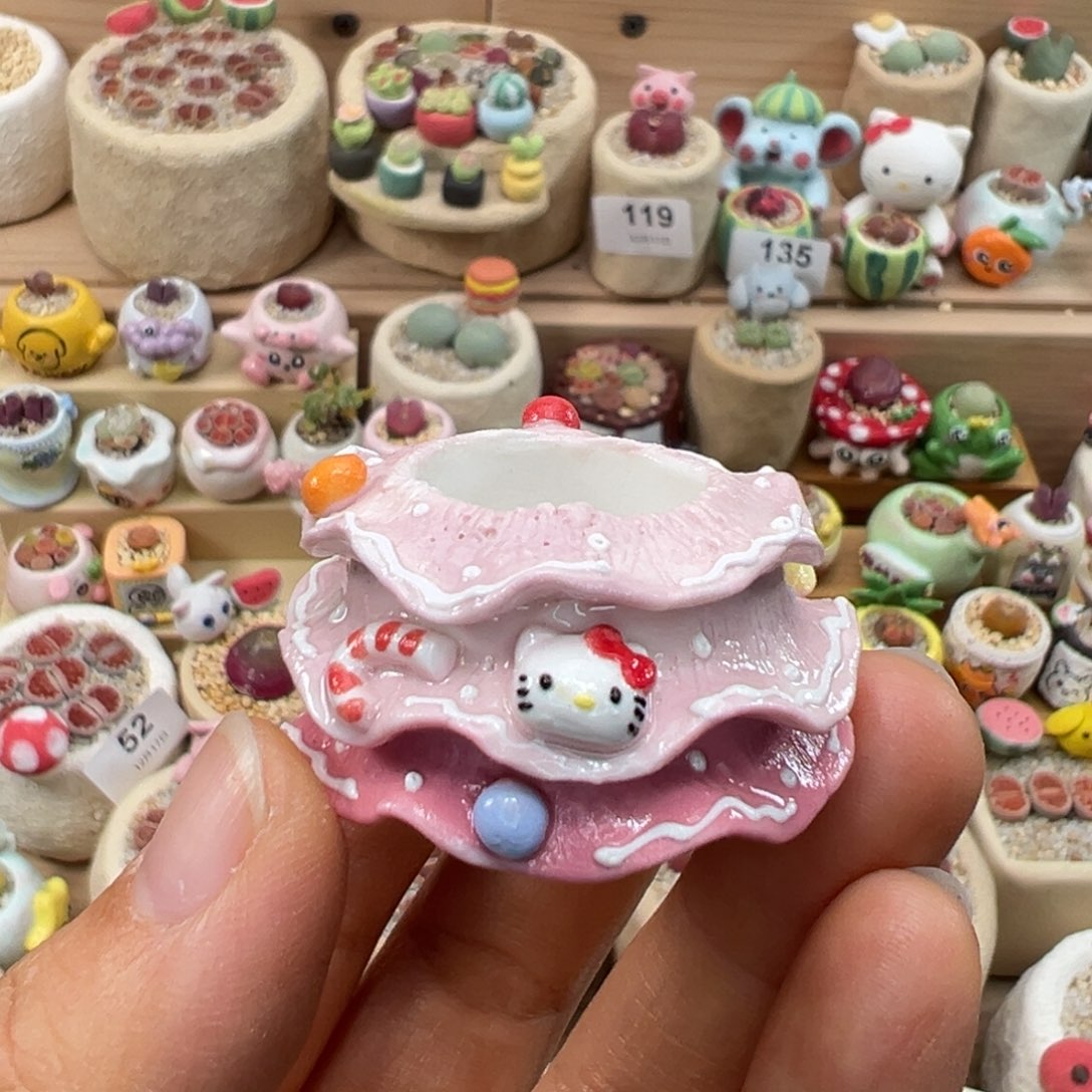 多肉植物171号单独盆