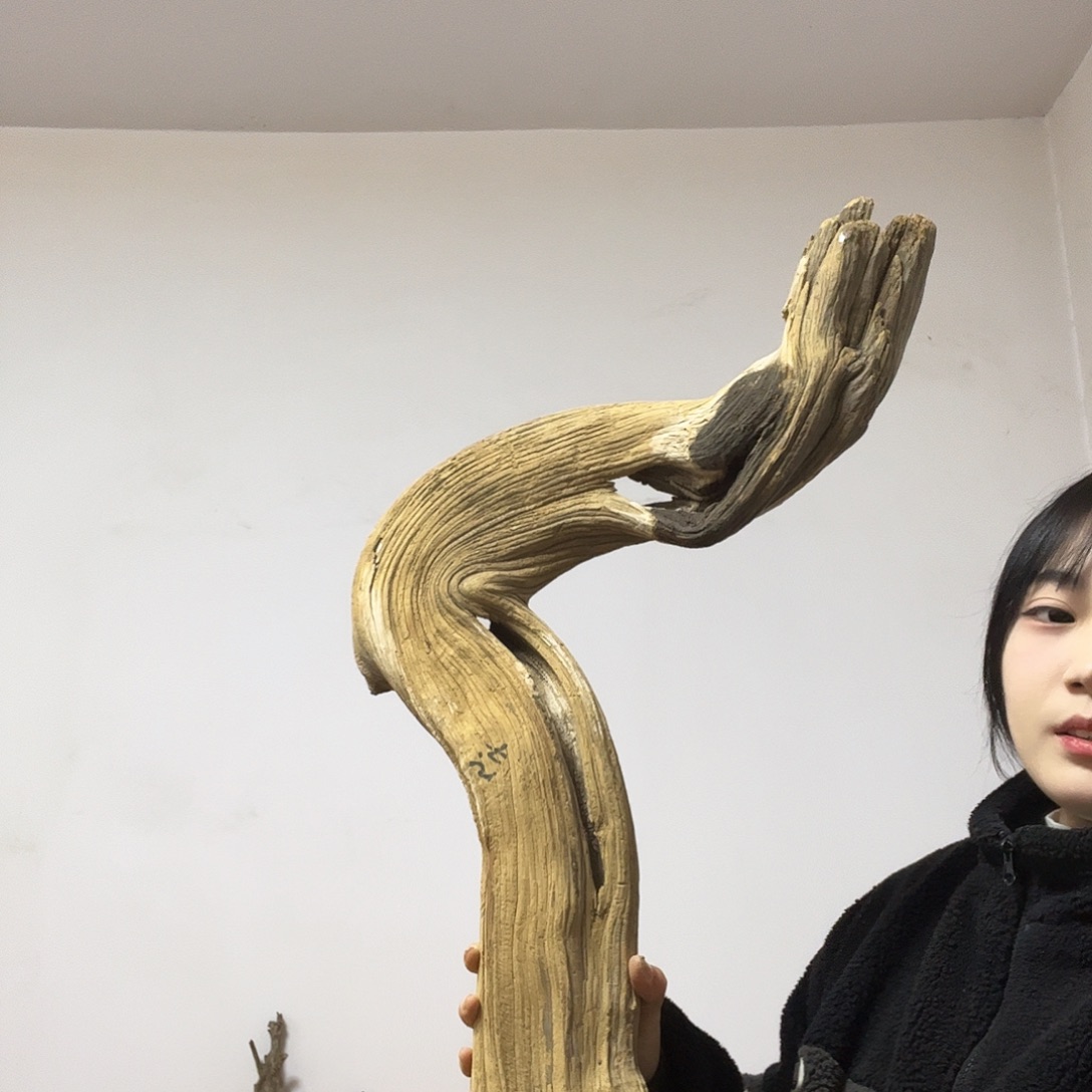 寂***痕柏木（崖柏）这个世界上最大的一个