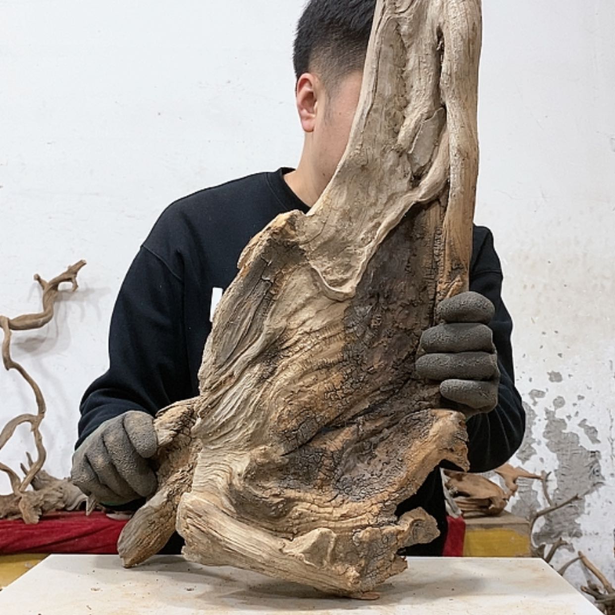 【闪购商品】柏木G我们都是好孩子