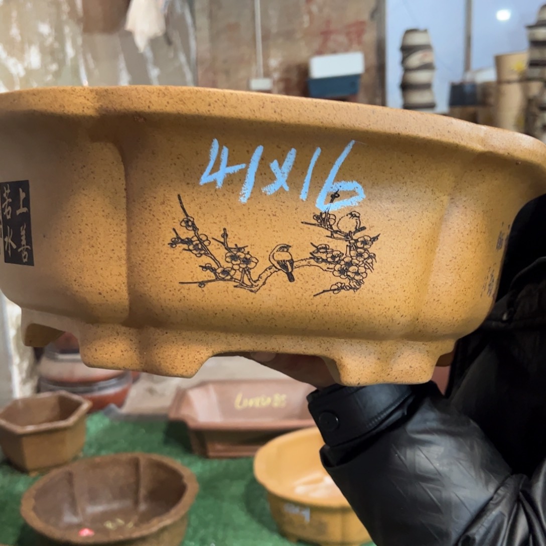 紫砂花盆紫砂花盆
