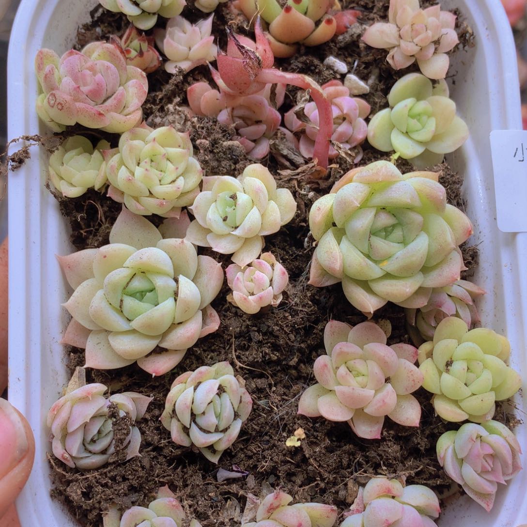 我要去看你了哦你要021