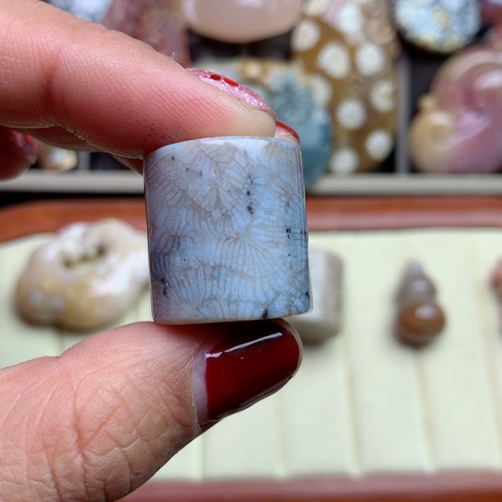 硅化珊瑚（珊瑚玉）颈饰未镶嵌