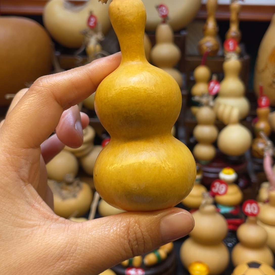 除****内葫芦等多种颜色的小动物在这里栖息